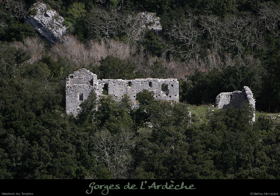 20100328_maladrerietempliers2