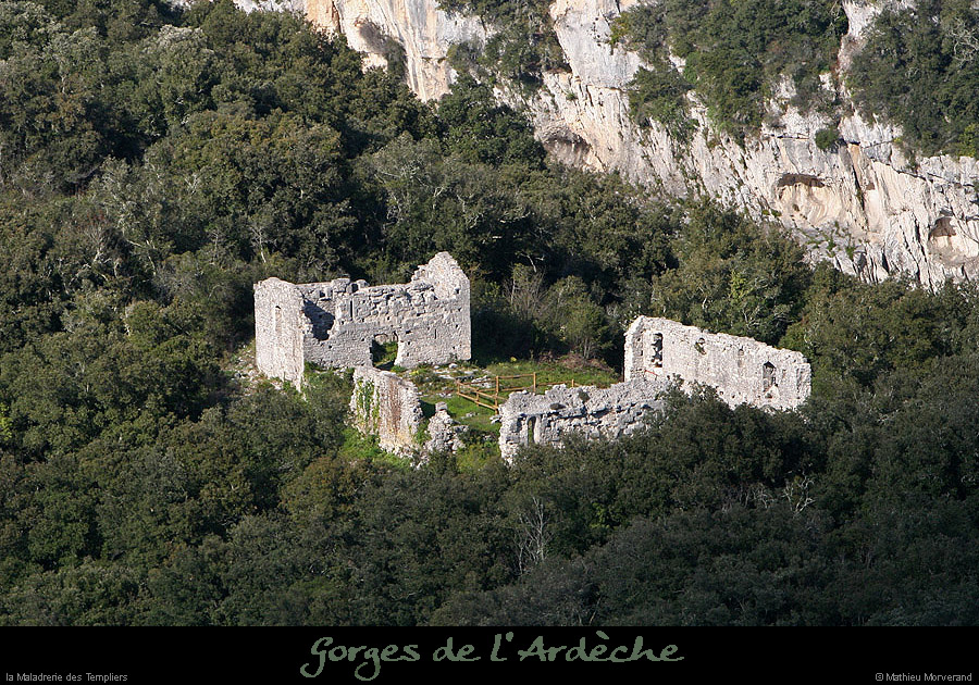 20100415_maladrerietempiers2
