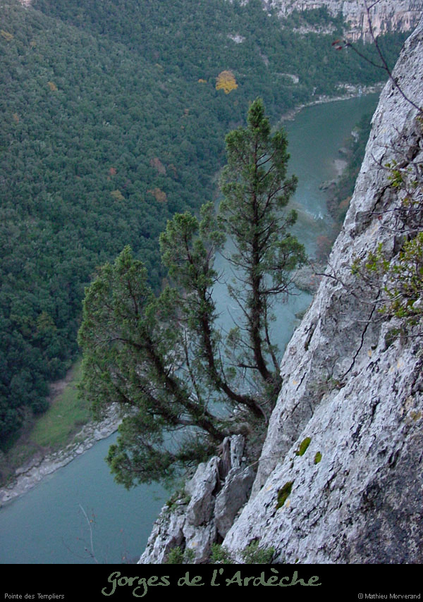 20021119_falaisetempliers