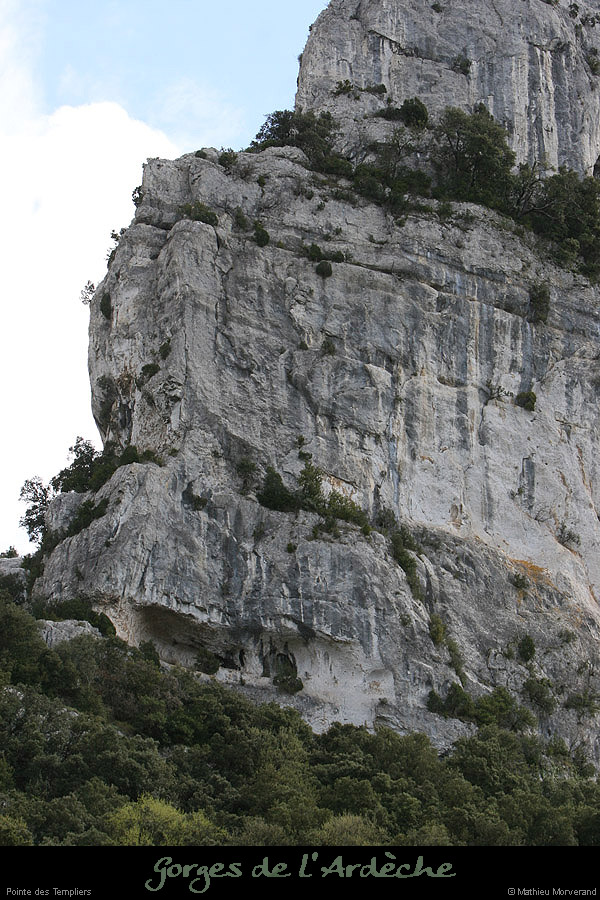 20100328_ptetempliers5