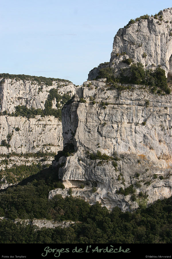 20100328_ptetempliers6