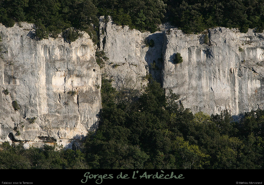 20100405_falaisesouslaterrasse