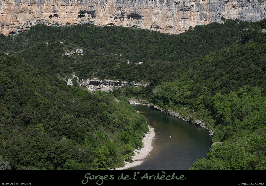 20100427_amtempliers4