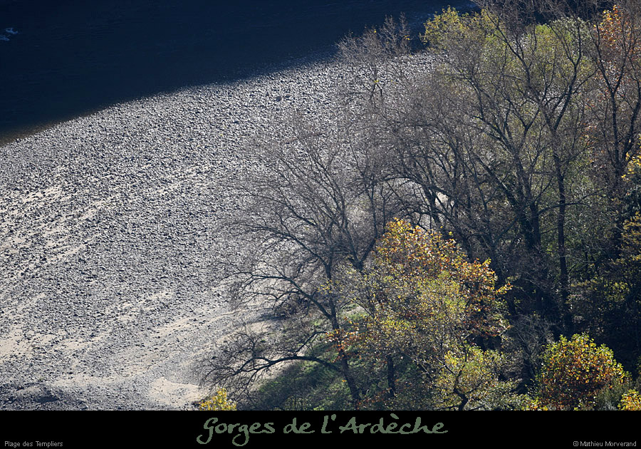 20101113_plagetempliers