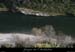 20100328_plagetempliers