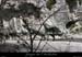 20100328_templiersrd3