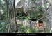 20081004_baumesousbelvrouviere1