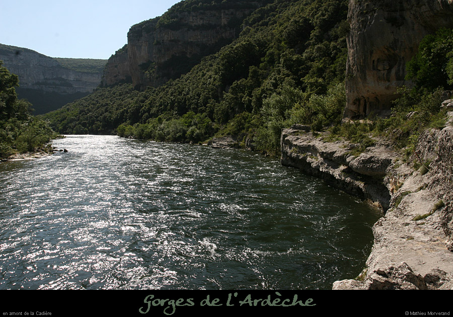 20080608_avalfeve3