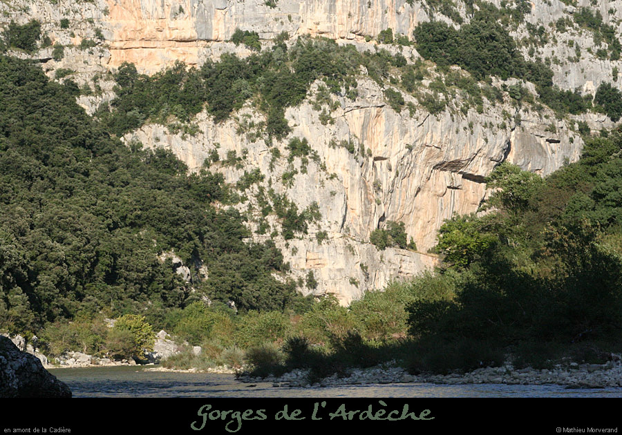 20080920_cadieream4