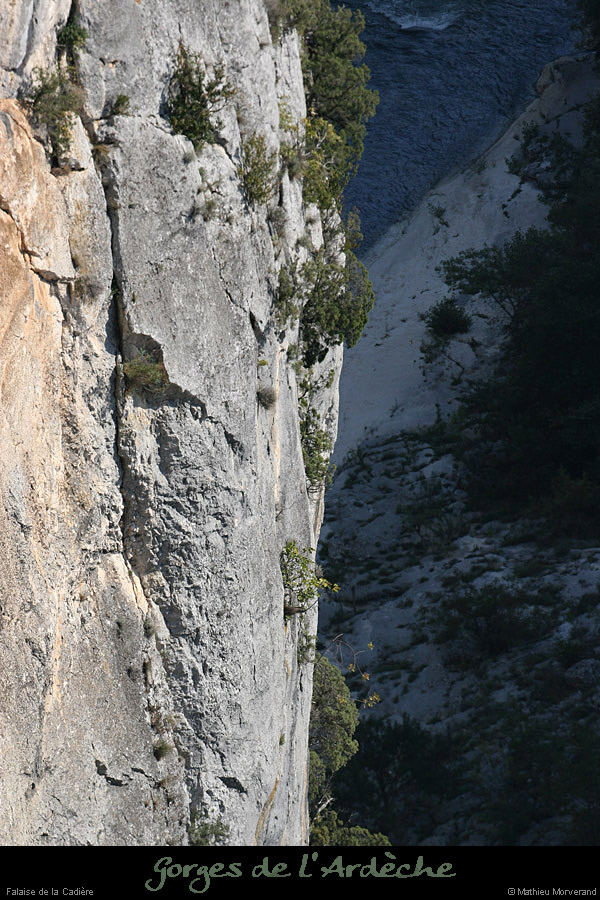 20080927_cadierefalaise02