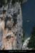 20080608_cadiereaval2