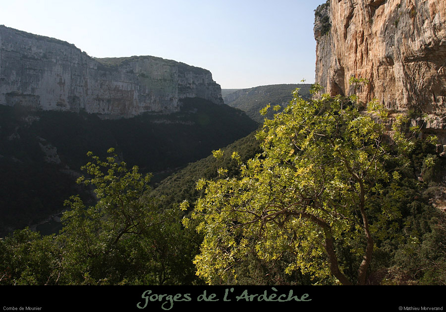 20080920_combemounier_e8