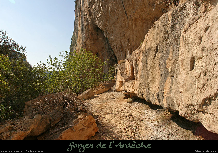 20080920_mounierw2