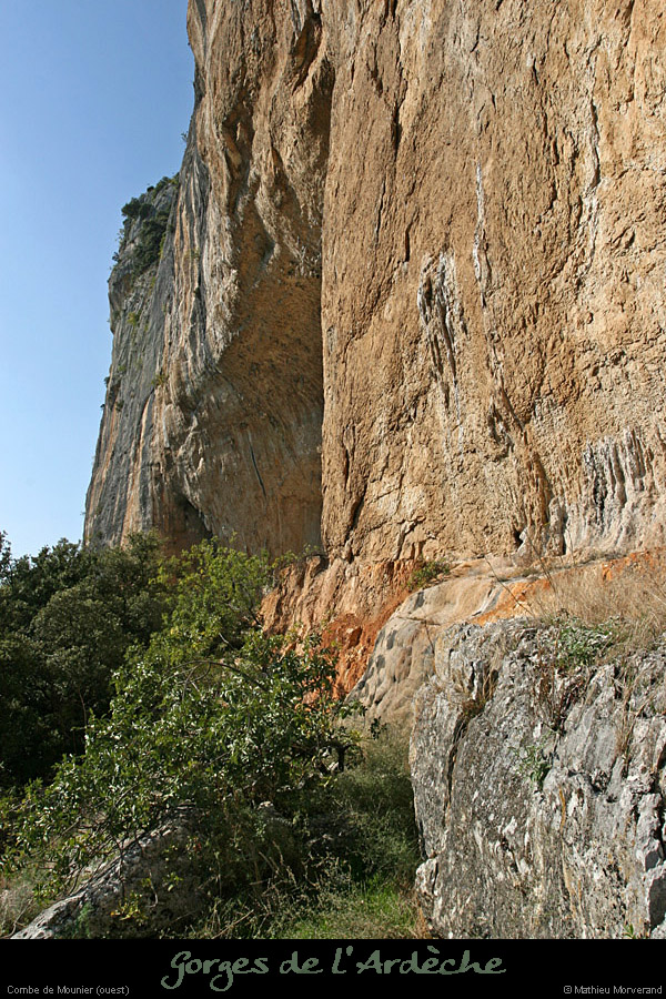 20080920_mounierw3