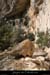20080920_combemounier_d2