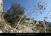 20080920_mounierw8