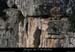 20081004_combemounier_falaisew