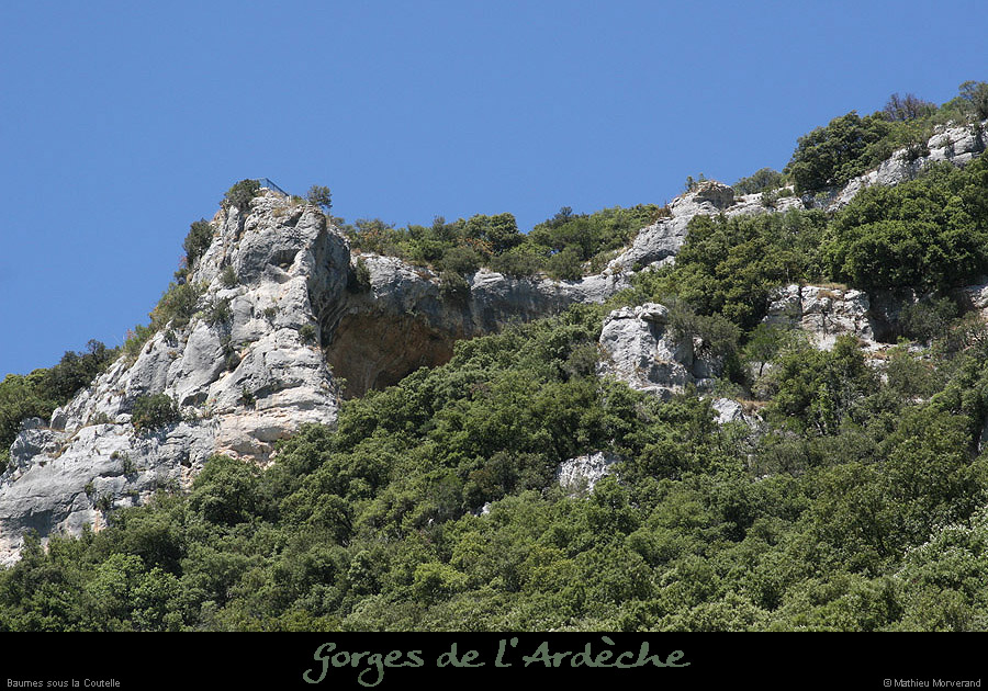 20090804_baumesscoutelle