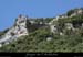 20090804_baumesscoutelle