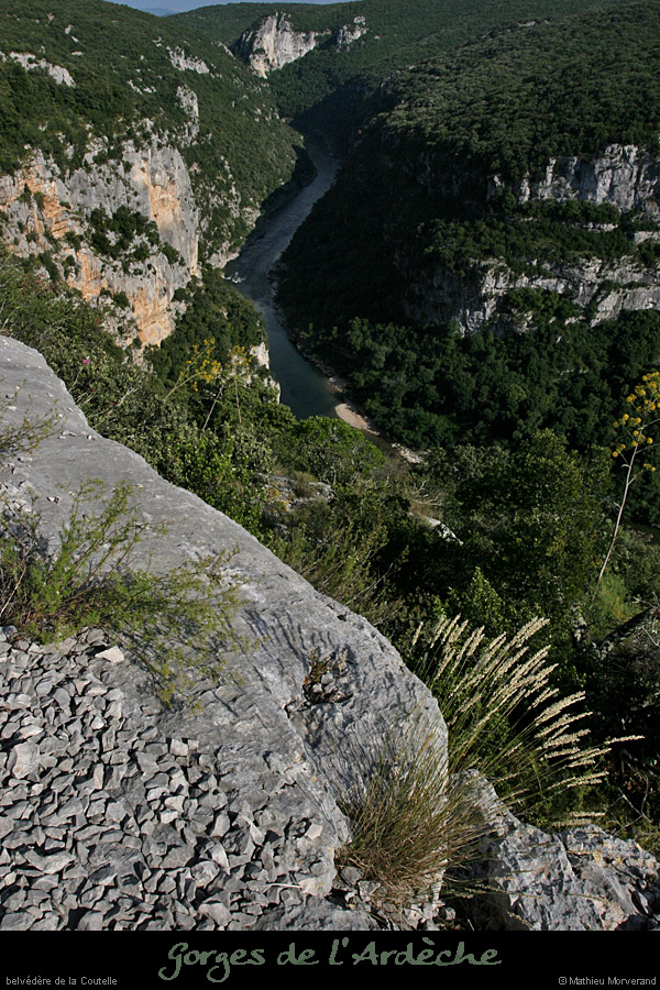 20080608_belvcoutelle7