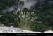 20080608_belvcoutelle4