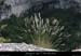 20080608_belvcoutelle5