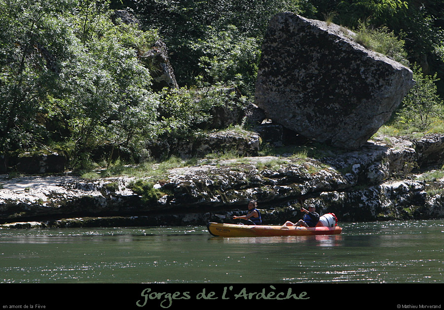 20080608_feveam01