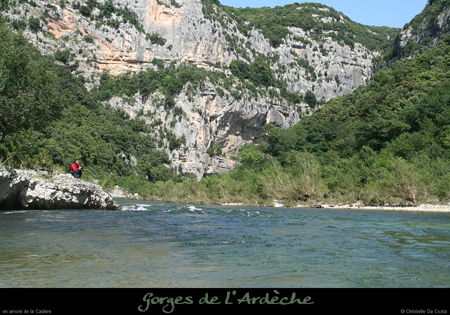 20080608_feveam05