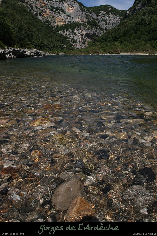 20080608_feveam08