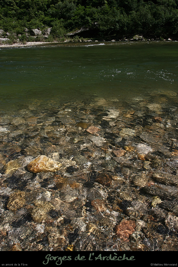 20080608_feveam09