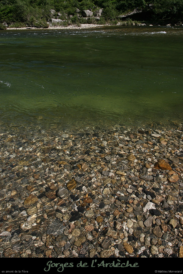 20080608_feveam10