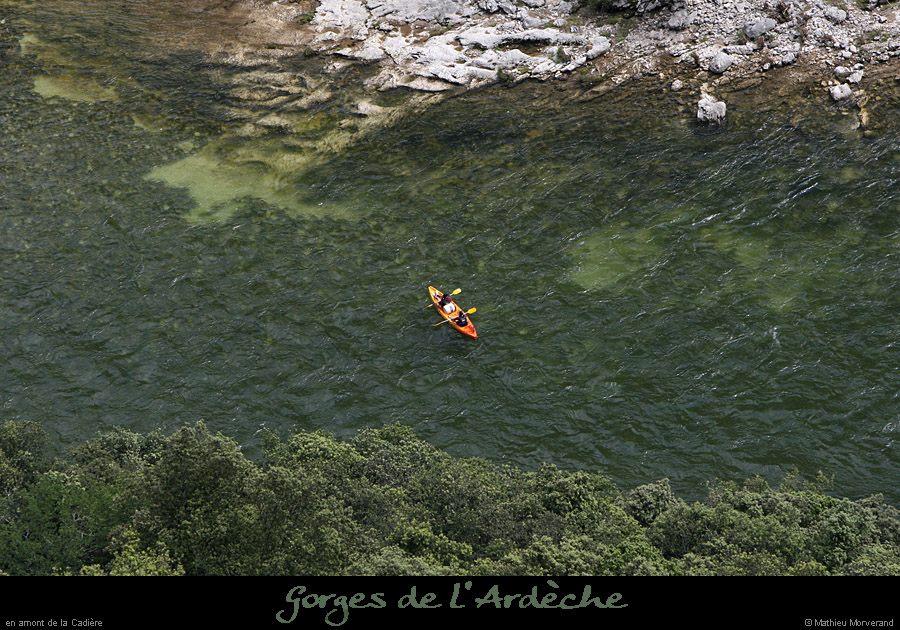20080608_feveaval2