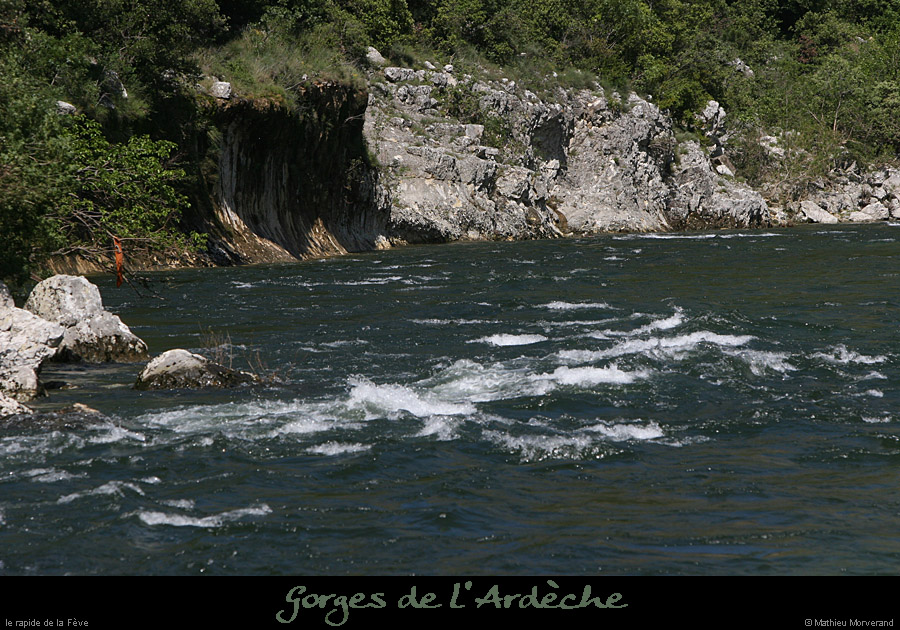 20080608_feverapide02