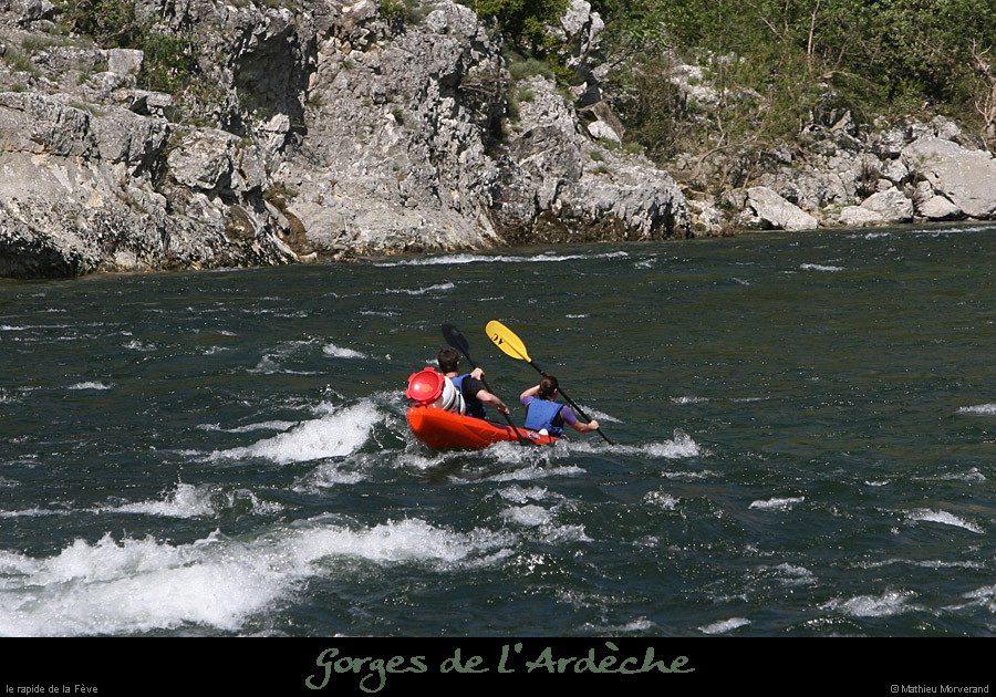 20080608_feverapide04