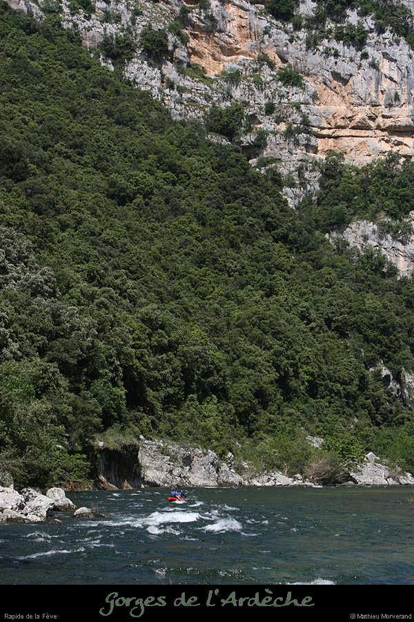 20080608_feverapide06