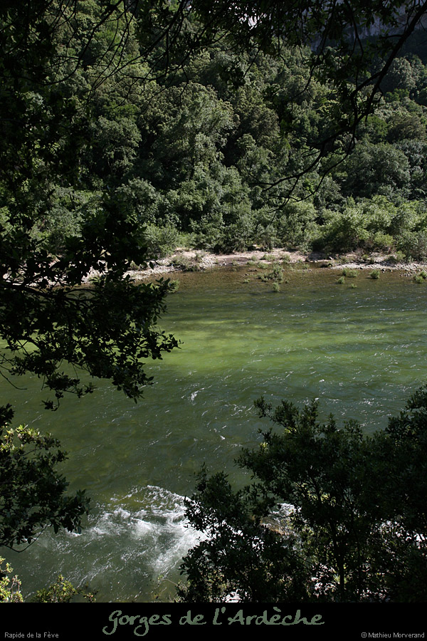 20080608_feverapide09