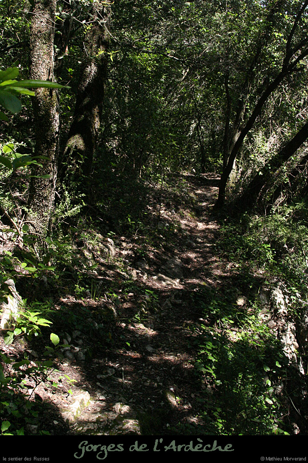 20080608_sentierrusses