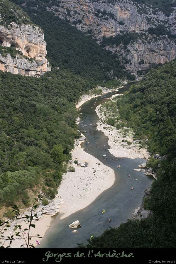 20080831_amont_feve3