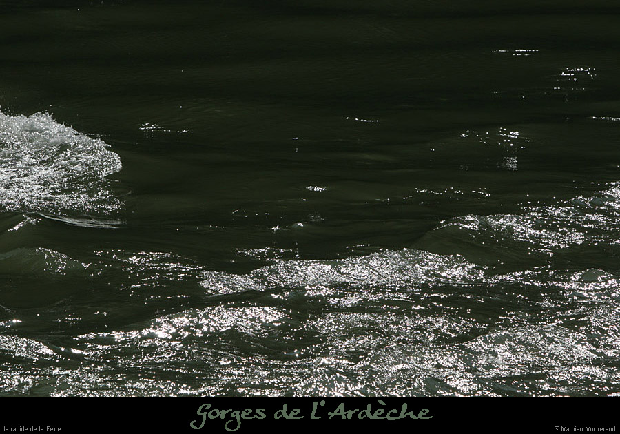 20080920_rapidefeve1