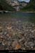 20080608_feveam08