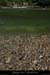 20080608_feveam10