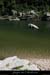 20080608_feveam11