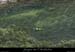 20080608_feveaval1