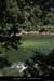 20080608_feverapide09