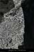 20080927_rapidefeve05