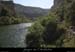 20080608_avalfeve1