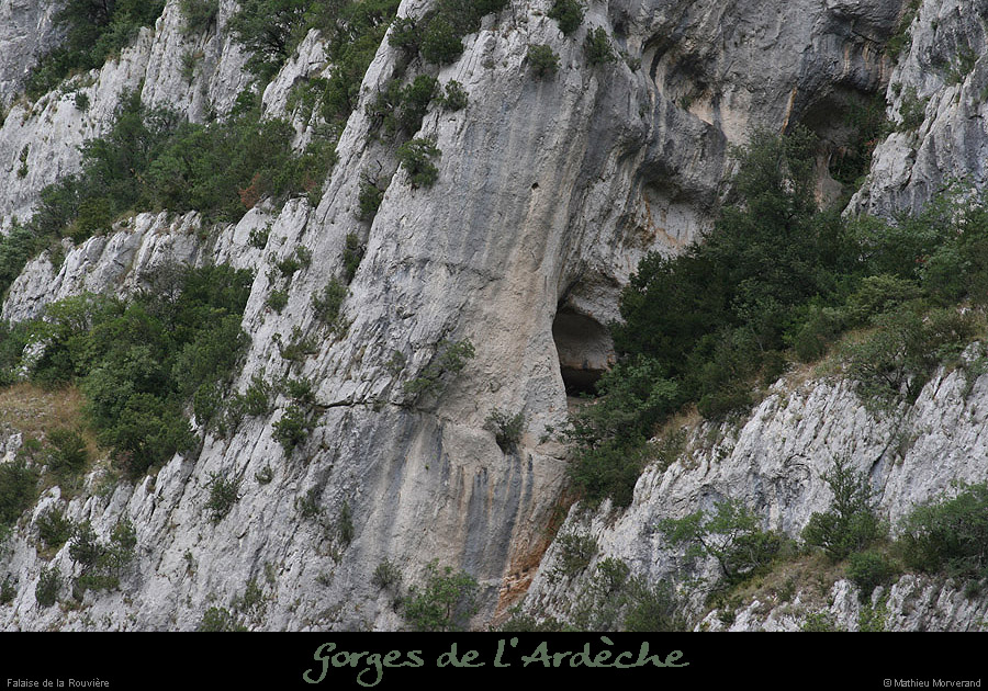 20070807_rouvierefalaise