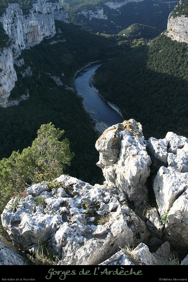20081004_belvrouviere2
