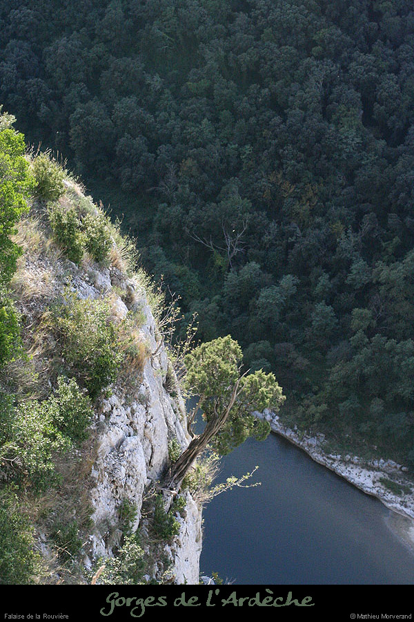 20081004_falaiserouviere1