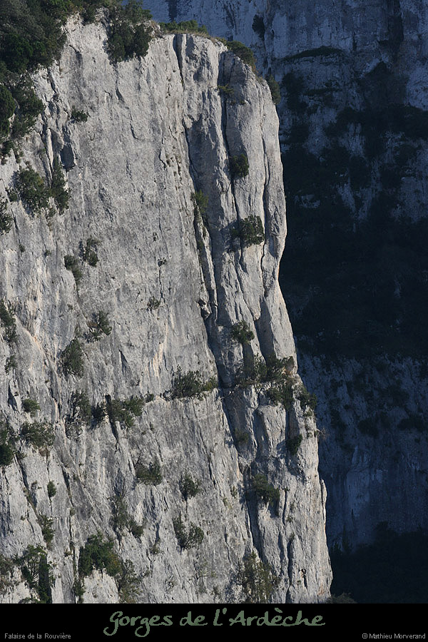 20081004_rouvierefalaise